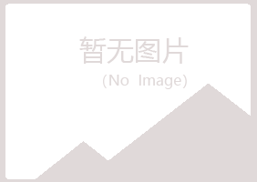 阜新夏青钢结构有限公司